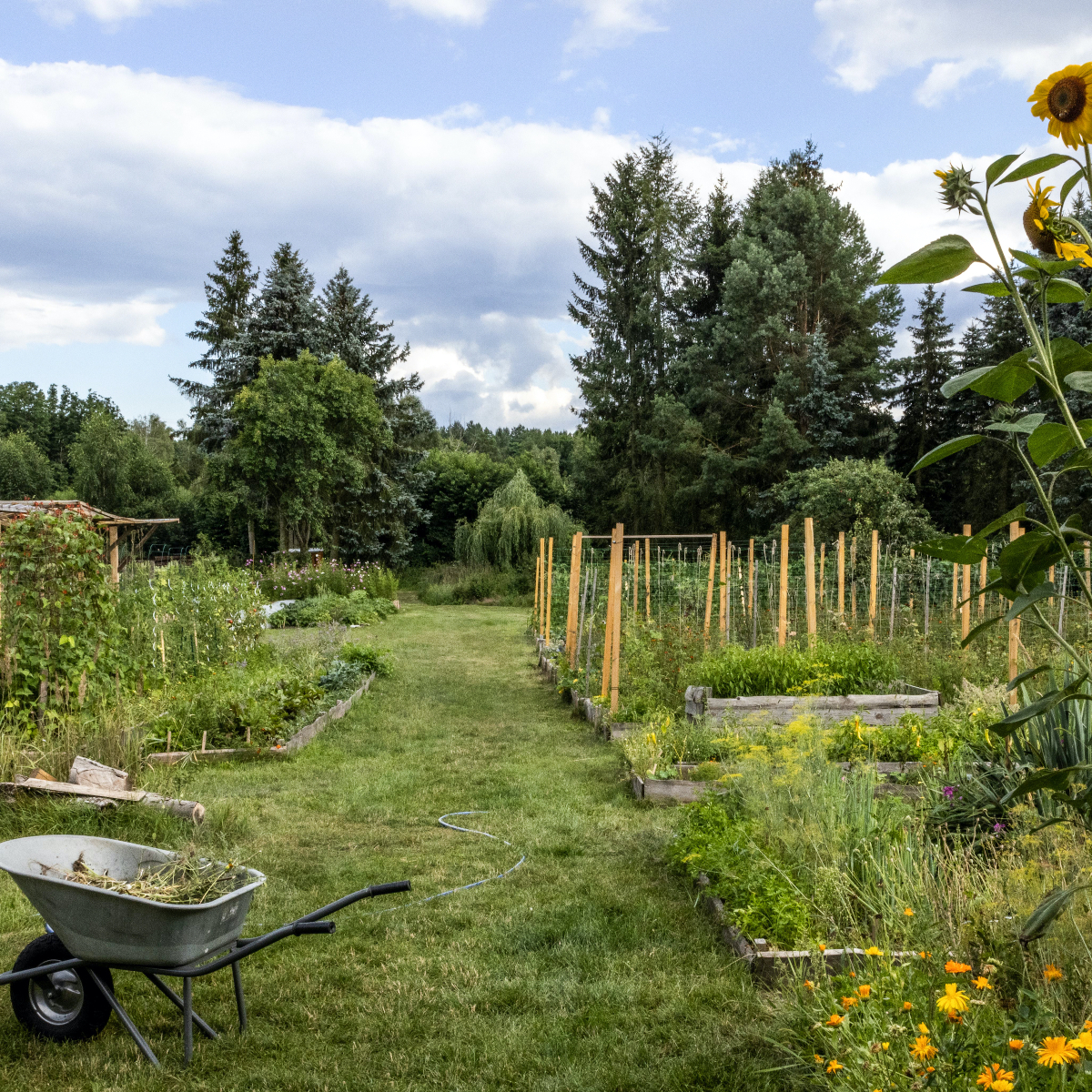 Spindler Berlin Sebastians Garten