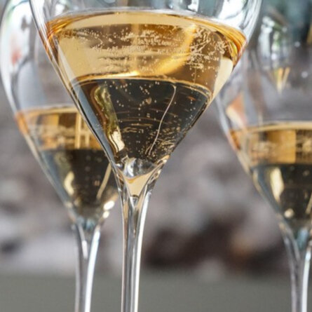 Einfach Geniessen I Online Wein Tasting (3)