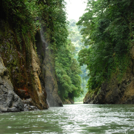 Pacuare Lodge Costa Rica (12)