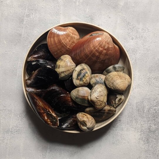 AV Restaurant Berlin Prenzlauer Berg