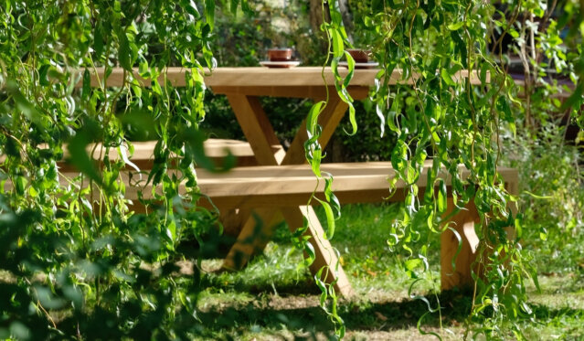 Cafe Fuchs Curtis Berlin Lichterfelde (1) Cafe Fuchs Curtis Berlin Lichterfelde (1)