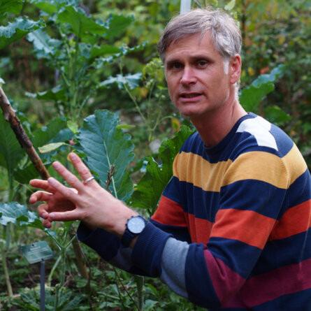 Co-Founder Martin Höfft