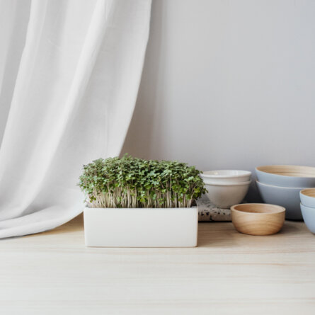 Heimgart Microgreens (2)