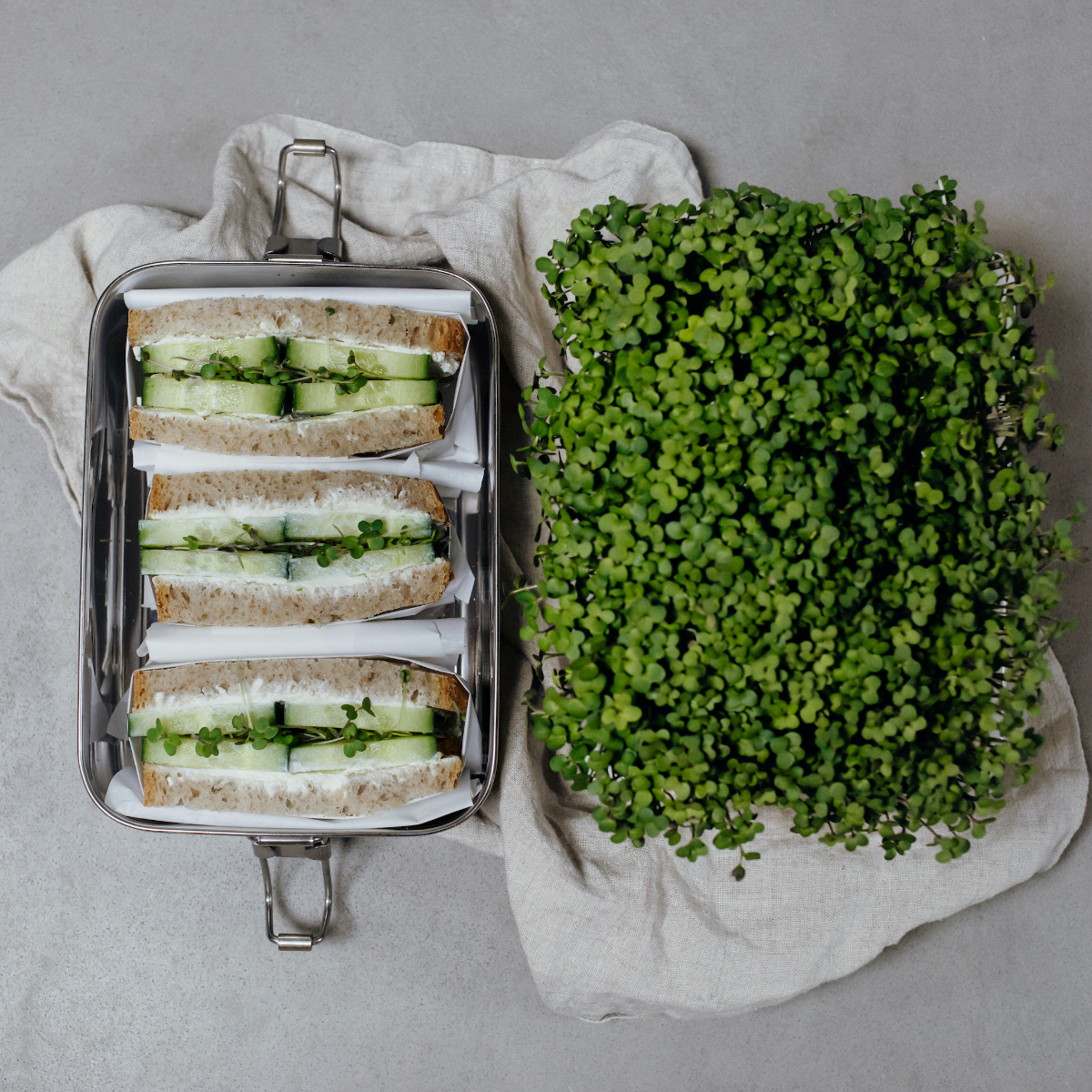 Heimgart Stulle mit Microgreens