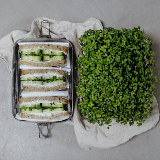 Heimgart Stulle mit Microgreens Heimgart Stulle mit Microgreens