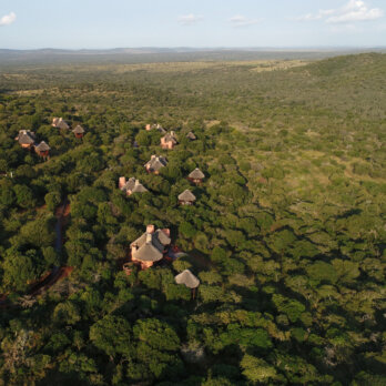 Thanda I South Arfica (11)