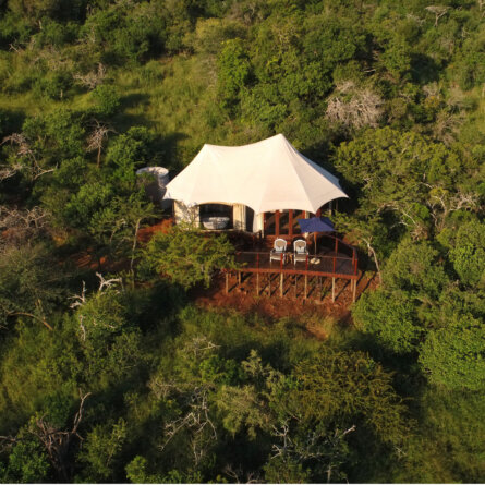 Thanda I South Arfica (14)