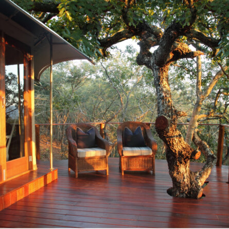 Thanda I South Arfica (6)