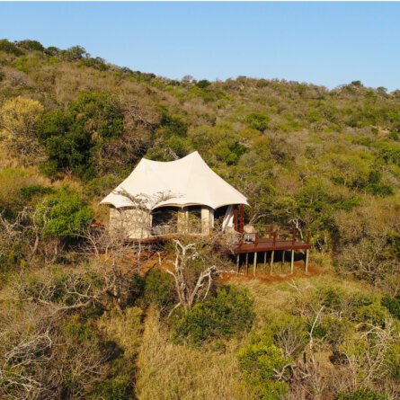 Thanda I South Arfica