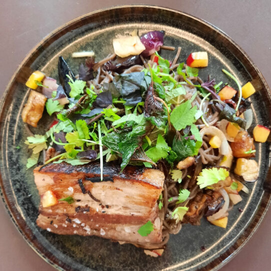 Augora Fermente I Wien (5)