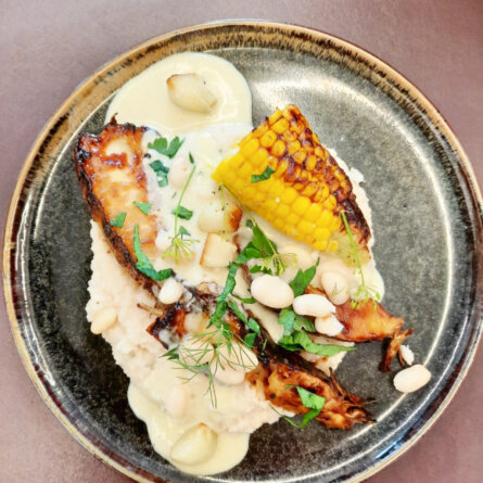 Augora Fermente I Wien