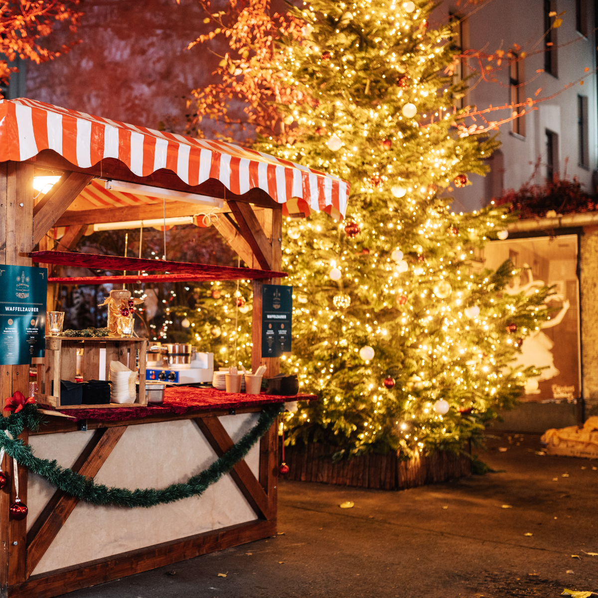 Claerchens Christmas (3)