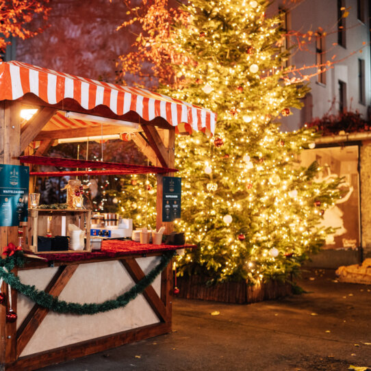 Claerchens Christmas (3) Claerchens Christmas (3)