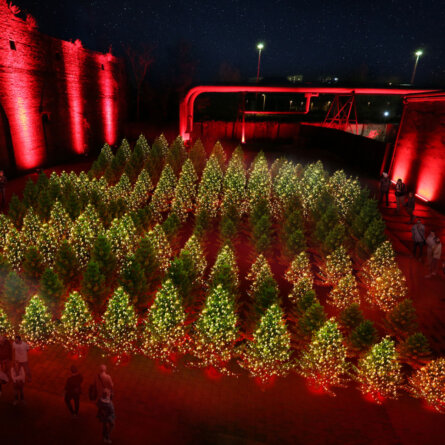 Dark Matter Winterlights