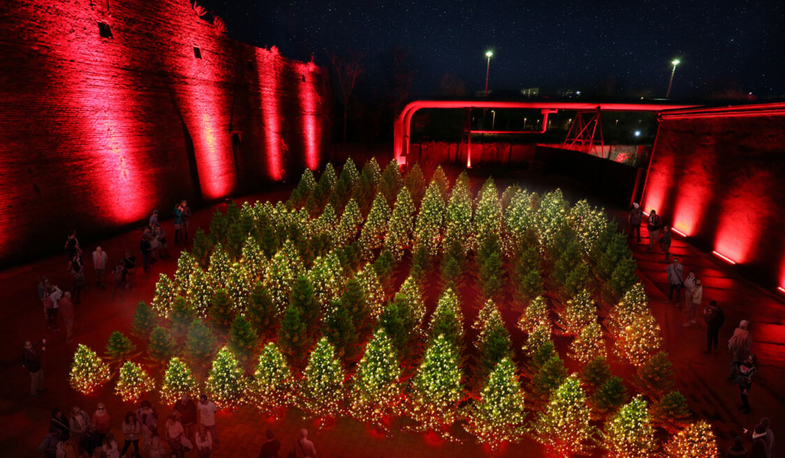 Dark Matter Winterlights  (1)