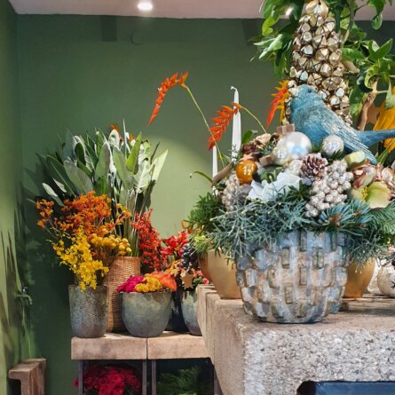 Herr Wismayer Blumenladen (2)