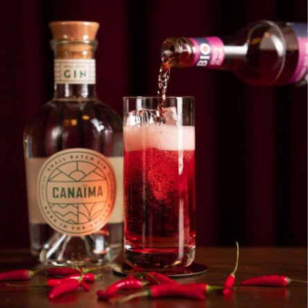 Bonvivant Cocktailbistro Valentinstagsbox Himbeere und Pflaume Drink1