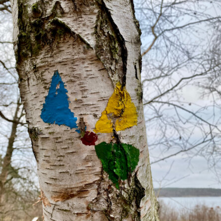 Havelhoehe I Verena Mayer (5)