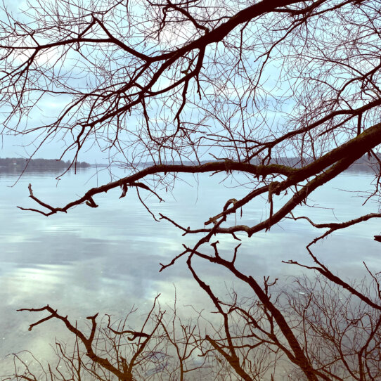 Havelhoehe I Verena Mayer Havelhoehe I Verena Mayer