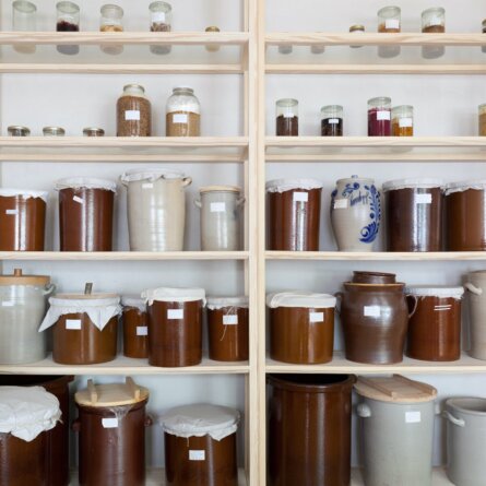 Mimi Ferments Berlin