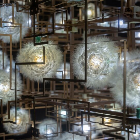 MKG Drift Moments of Connection Fragile Future 4