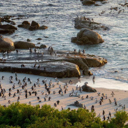 Tintswalo Atlantic (10)