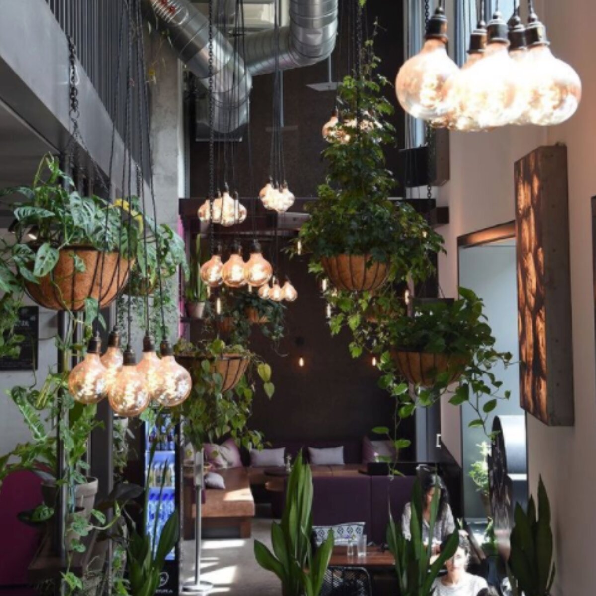 Urban Jungle Beetnut Zuerich