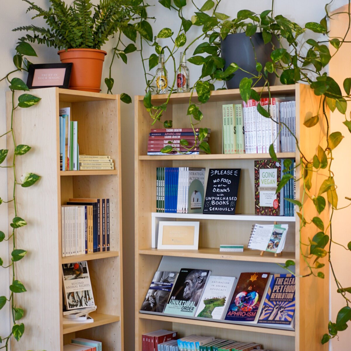 c) Edyta Köhling Buchecke Plant Base Berlin Prenzlauer Berg