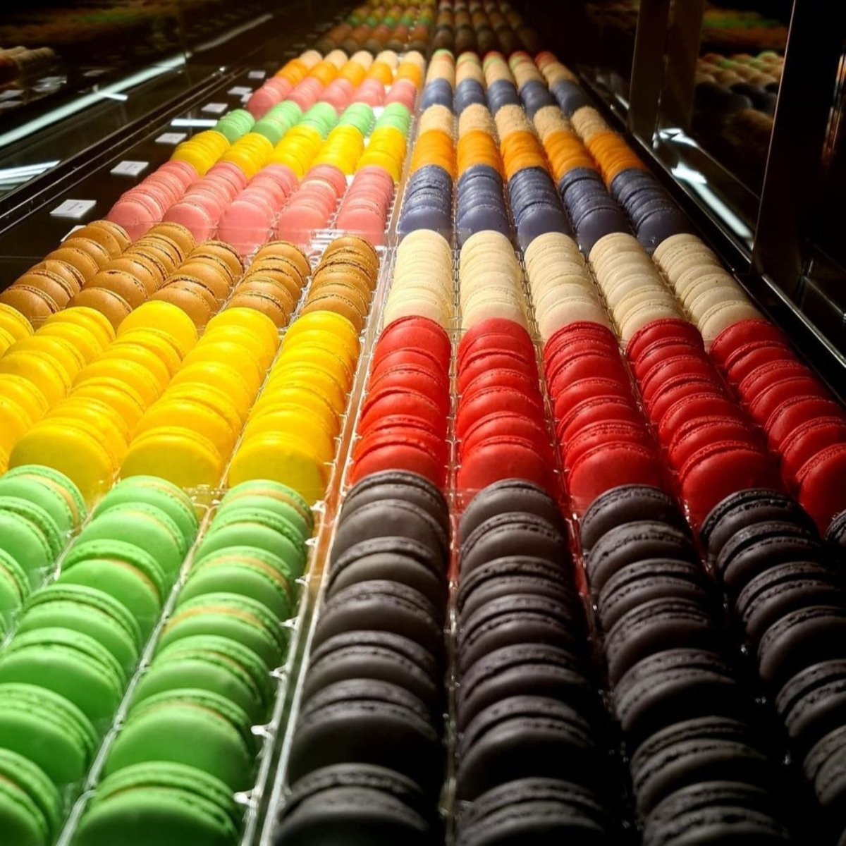 French Touch I Muenchen (3)