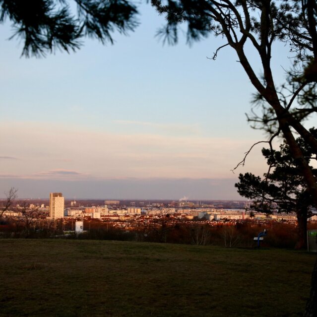 Loewygrube Wien (1) Loewygrube Wien (1)