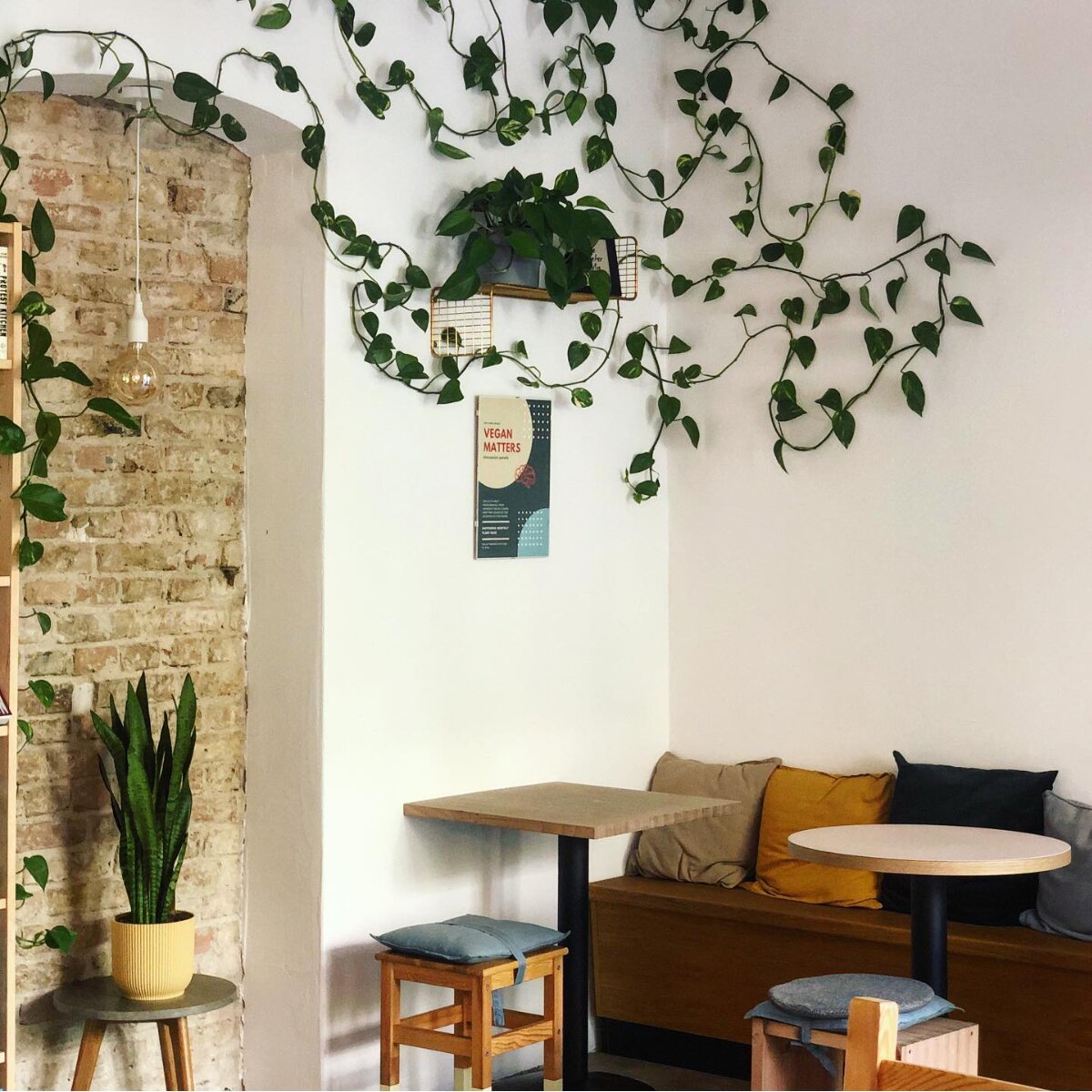 Plant Base Prenzlauer Berg Berlin