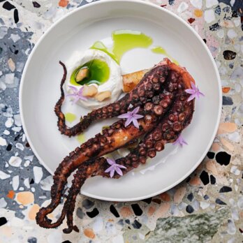 Pulpo La Cote Berlin Neukoelln © Rebecca Gulam