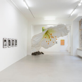 Binta Diaw, Les tirés ailleurs, Installation view at ChertLüddeBungalow, Berlin, 2022, Photo by Andrea Rossetti (1) Binta Diaw, Les tirés ailleurs, Installation view at ChertLüddeBungalow, Berlin, 2022, Photo by Andrea Rossetti (1)