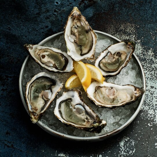 Kontraer Prenzlauer Berg (11) Kontraer Prenzlauer Berg (11)