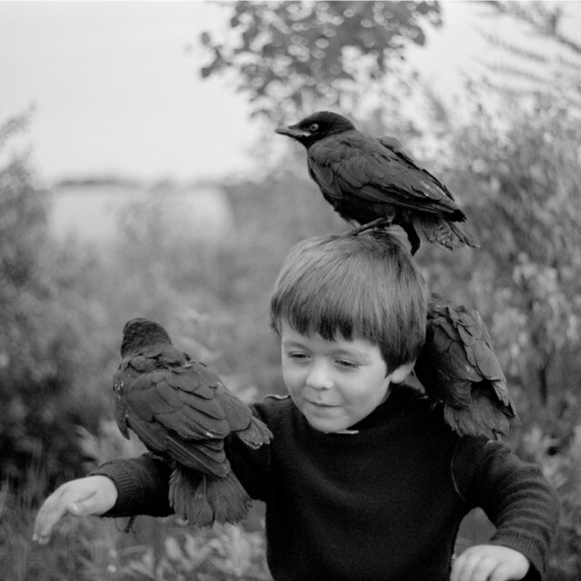 Murder I Guillaume Simoneau