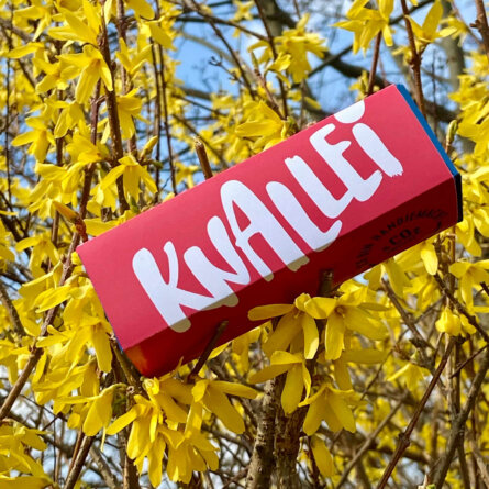 Ostern I Knalle Popkorn (4)