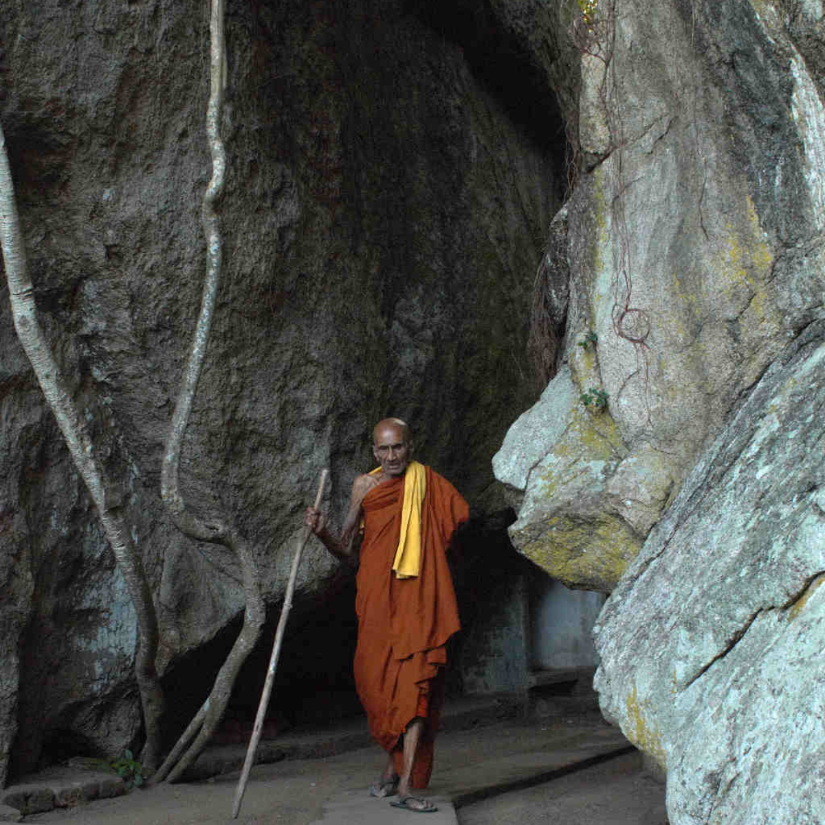 Ulpotha Yoga Retreat I Sri Lanka (10)