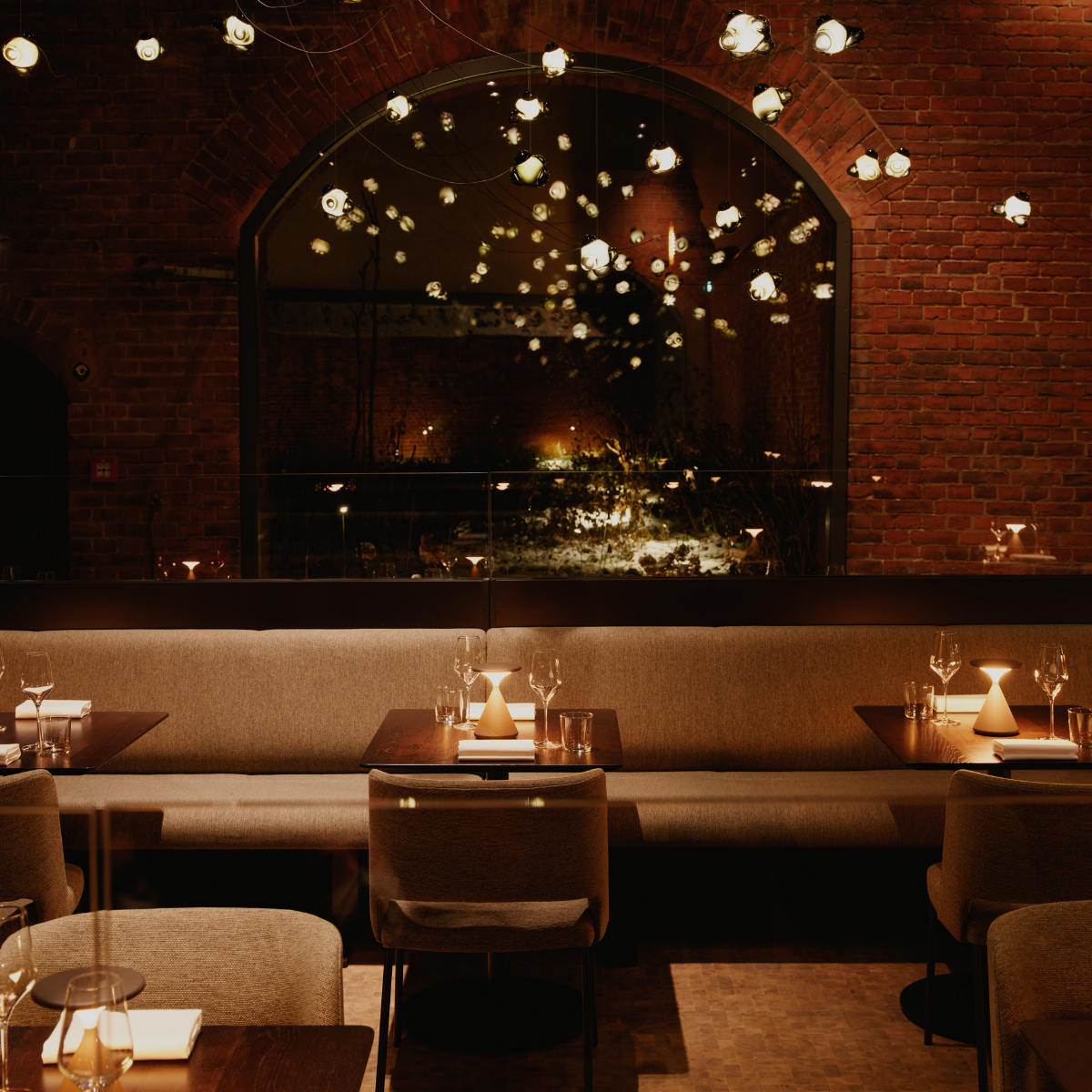 Wilmina I Foto Robert Rieger