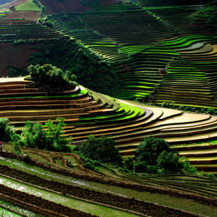 Yen Bai - Mu Cang Chai - Rice terrace Easia Travel I Vietnam (1)