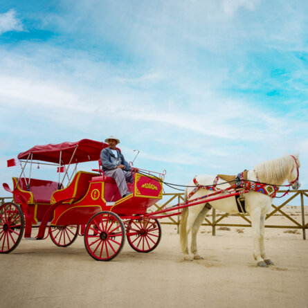 0865a370-a174-4231-a9ba-0a8b24b39887