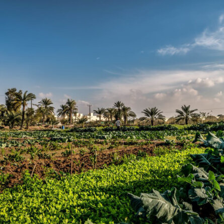 16a81909-0a2d-4437-b5eb-bf1dee68cd24