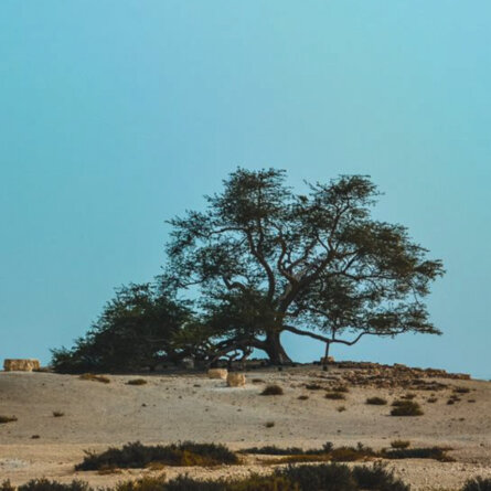 4cc6782f-c2c4-40aa-9b57-74e200c30d0f