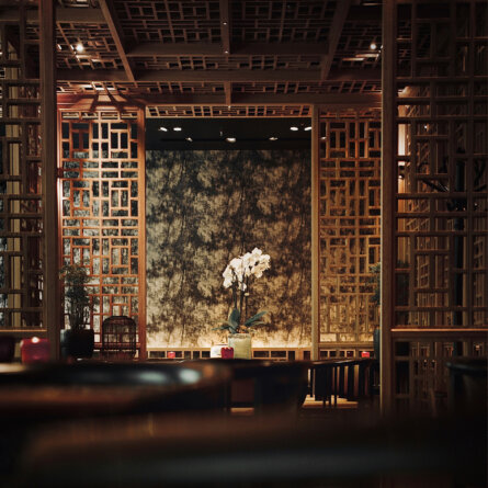 Azuki I Lioncut Media Agency (3)