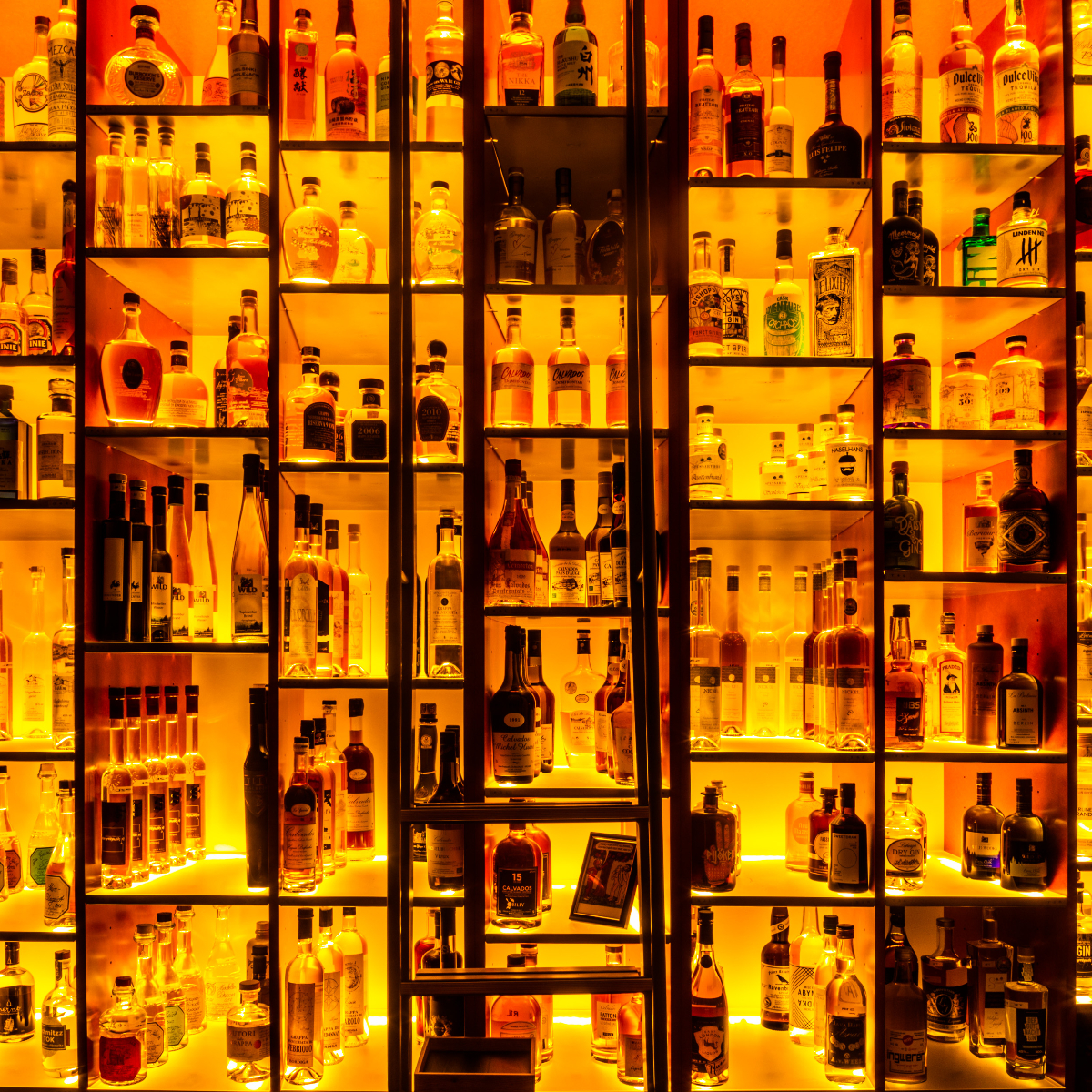 Beavis Bar Berlin (2)