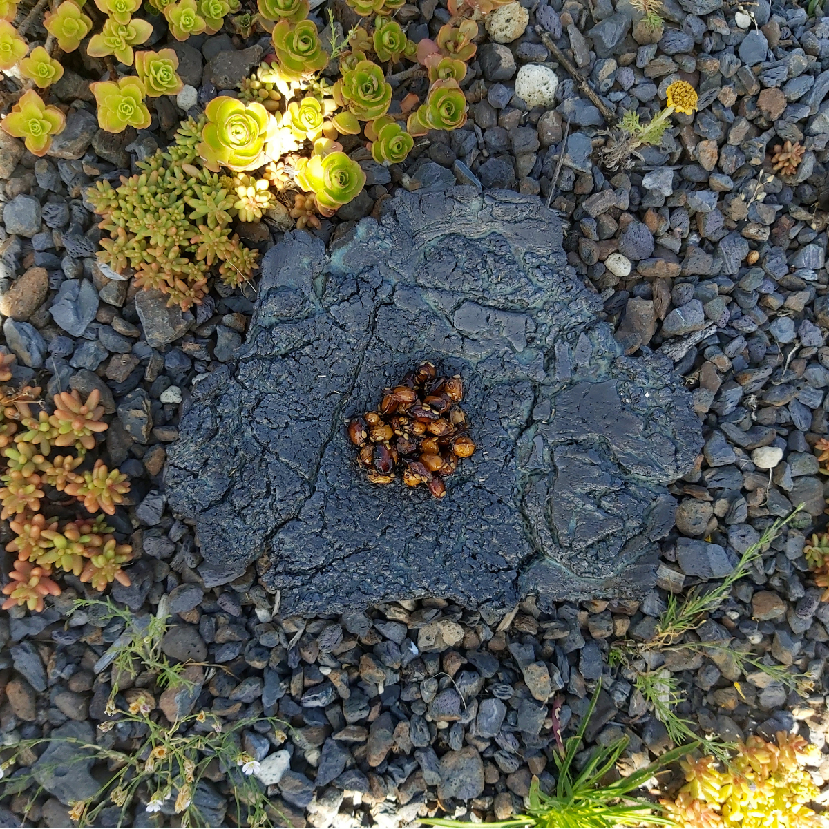 NaNum Galerie und Restaurant Berlin Kreuzberg (6)