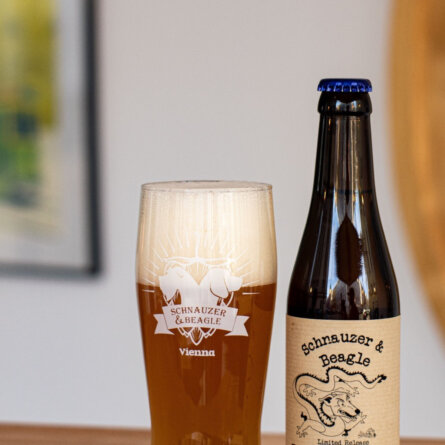 Schnauzer & Beagle I Wien (11)