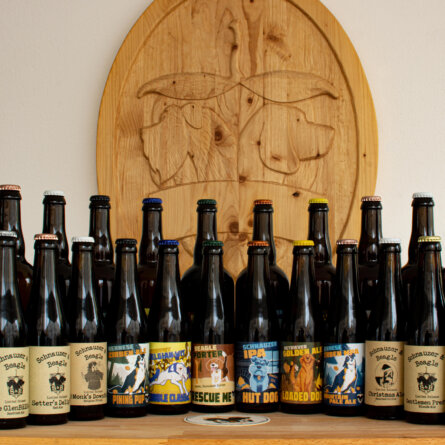 Schnauzer & Beagle I Wien (2)