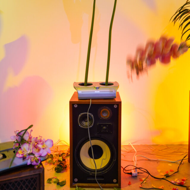 Soy Capitn, Rachel Youn, Gather (detail), 2020, installation view, Contemporary Art Museum St. Louis, Photo_ Dusty Kessler