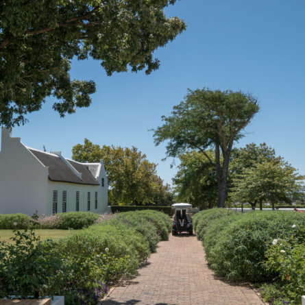 Steenberg Hotel  (3)