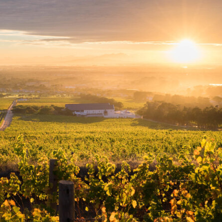 Steenberg Hotel  (4)